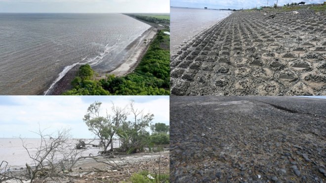 Sạt lở từ sông ra biển, uy hiếp đê và nhà dân ở An Giang, Đồng Tháp