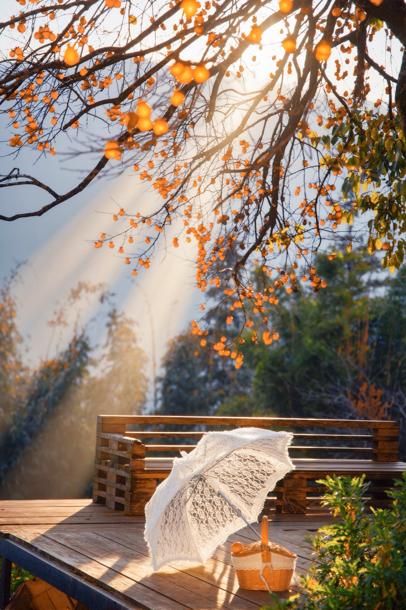 Ảnh: Nguyễn Hữu Thịnh