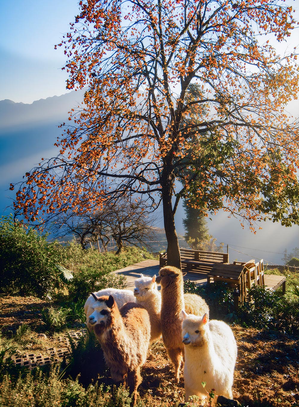 Ảnh: Nguyễn Hữu Thịnh