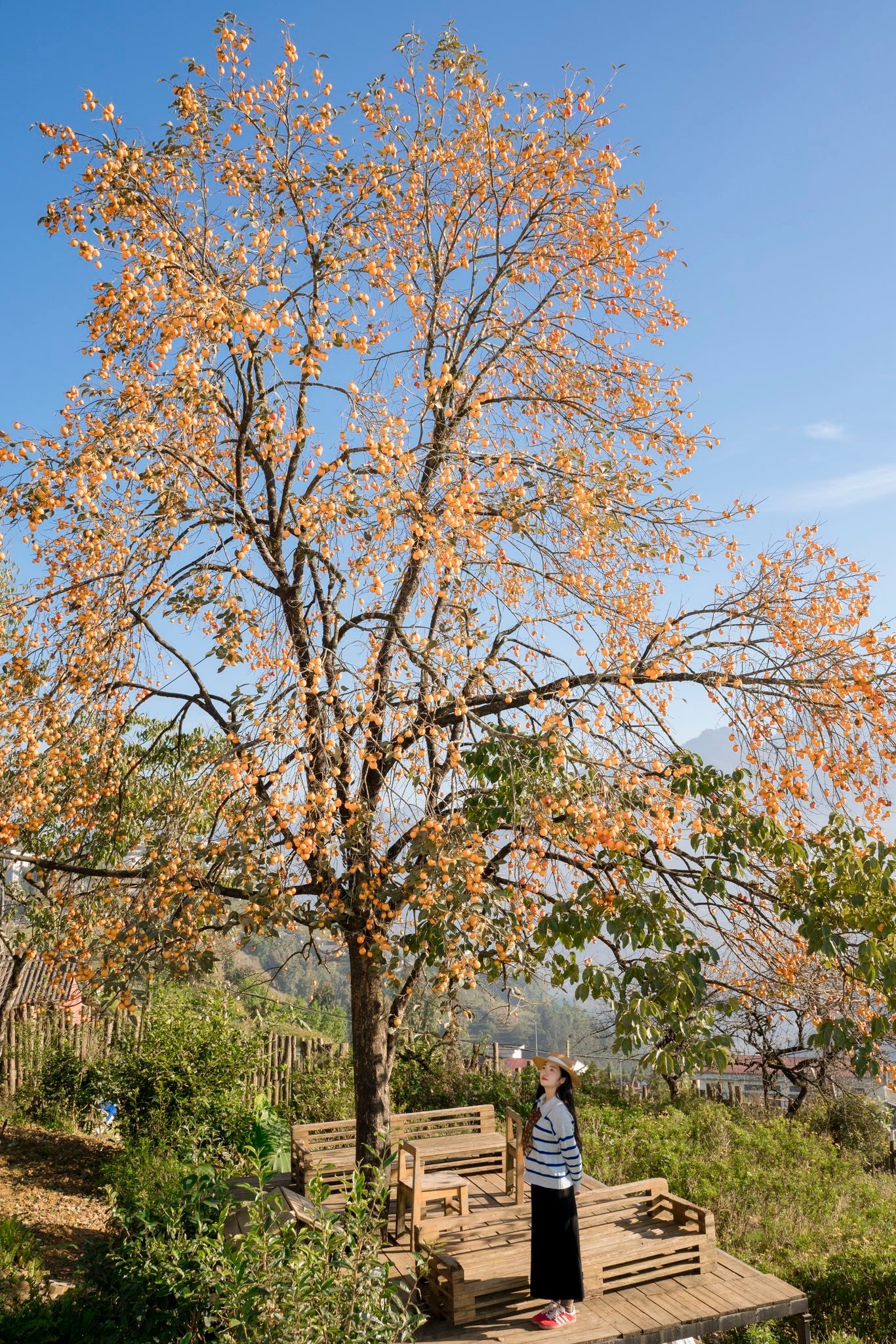 Ảnh: Nguyễn Hữu Thịnh