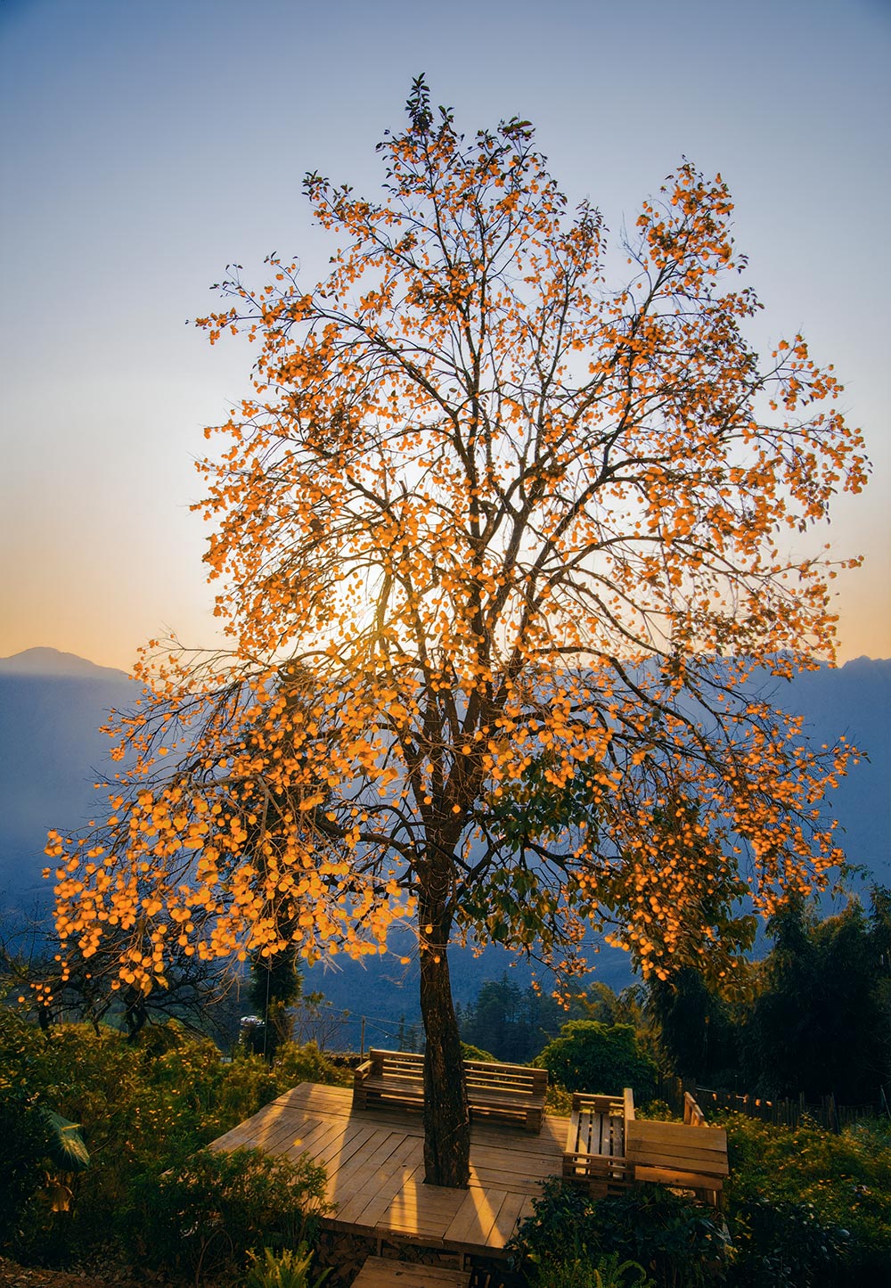 Ảnh: Nguyễn Hữu Thịnh