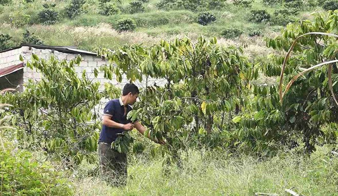 Quảng Phú chú trọng đào tạo nghề, mở lối sinh kế cho người dân thoát nghèo