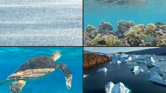 Lớp đá bí ẩn dưới Bermuda có thể là một tầng mới của Trái đất