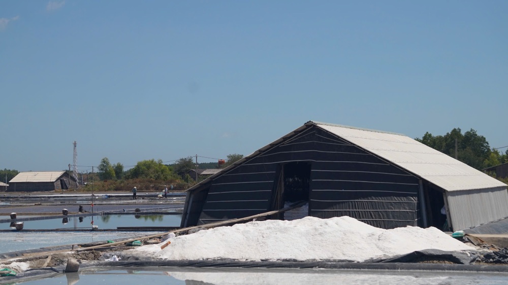 Những hạt muối trắng ngần được kết tinh từ nước biển và mồ hôi công sức của người lao động. Ảnh: Thái Bảo