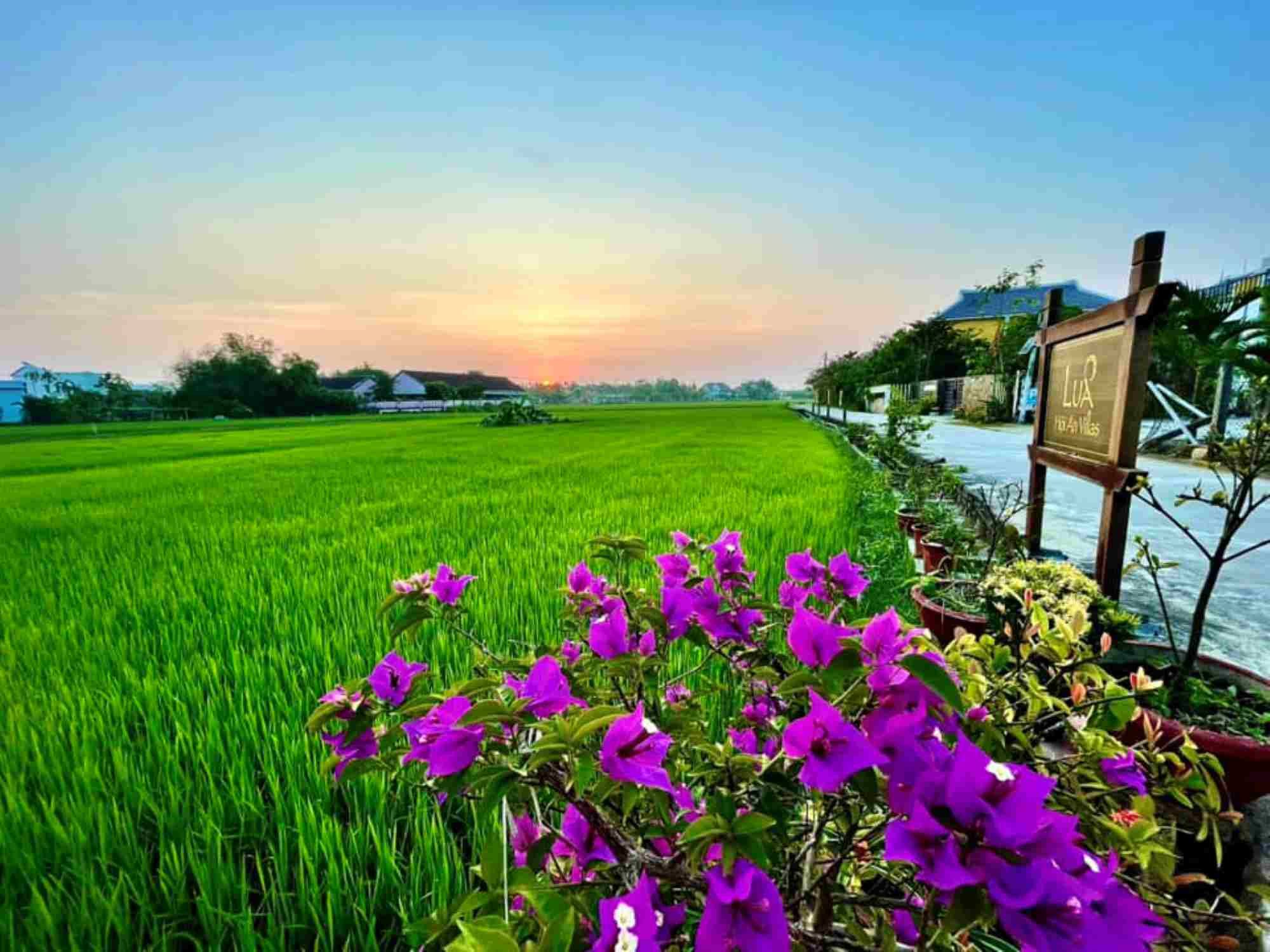 Ngoại ô Hội An. Ảnh: Hải Phạm