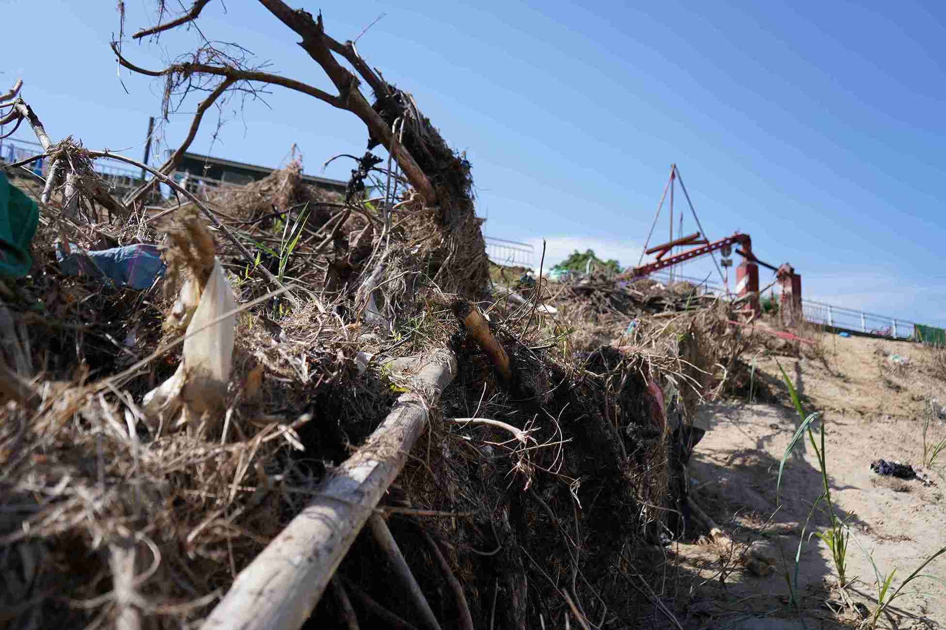 Cây khô, cỏ rác mắc lại trên dây cáp. Ảnh: Hữu Long