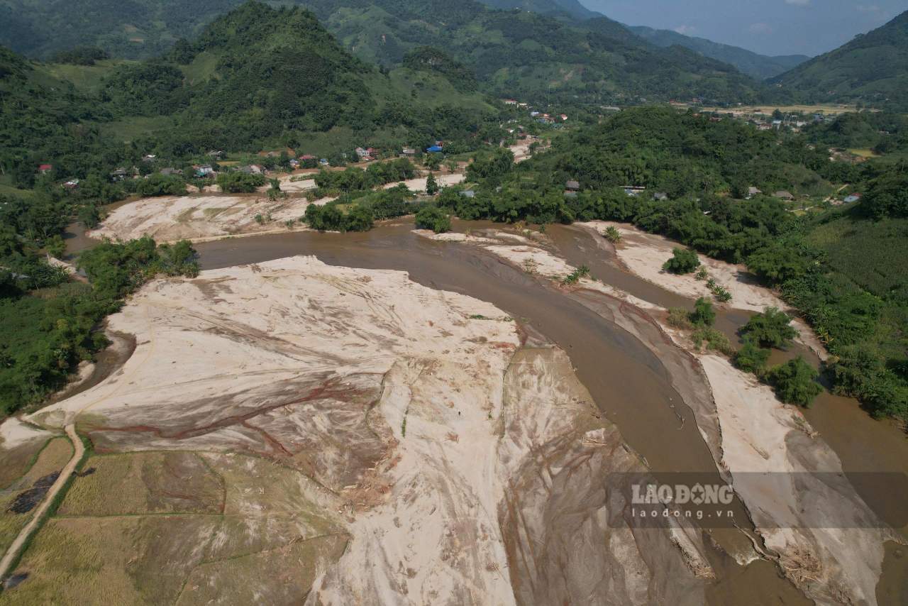 Nếu tận thu và đấu giá, số tiền thu về khoảng 30 tỉ đồng. Ảnh: Văn Đức