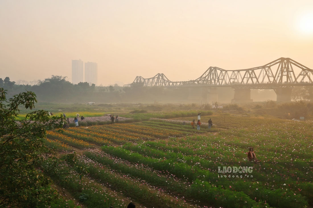 từng là điểm đen