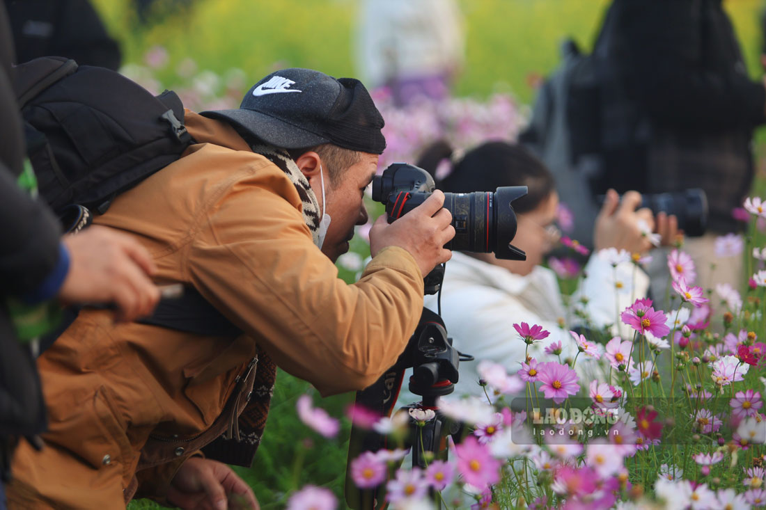 thu hút đông đảo thợ ảnh