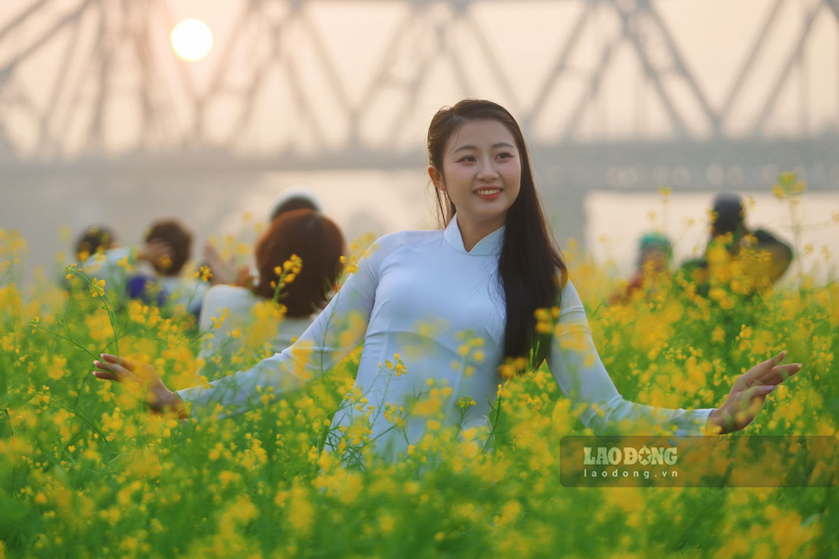 thu hút đông đảo