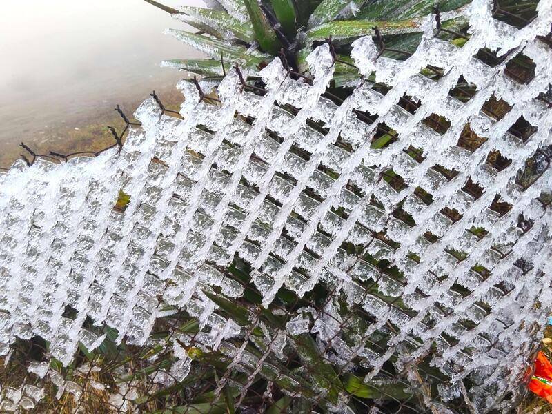 Băng tuyết ở Mẫu Sơn ngày 22.1.2026. Ảnh: Khánh Linh