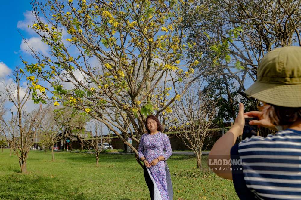 Du khách đến Huế dịp này cũng không bỏ lỡ cơ hội ghi lại khoảnh khắc đẹp bên vườn hoàng mai được xem là “độc nhất” của cố đô.