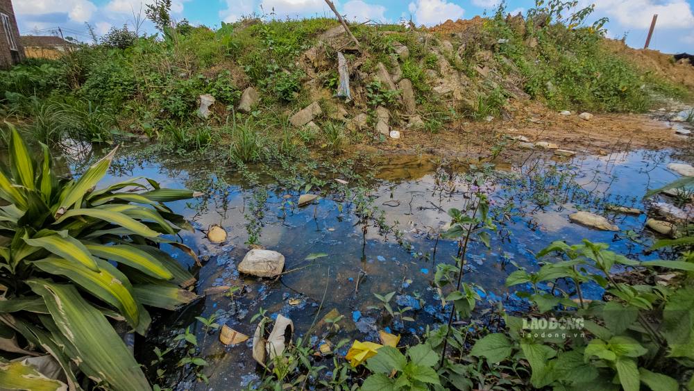 Nước thải đen đục, nổi váng bất thường. Ảnh: PV