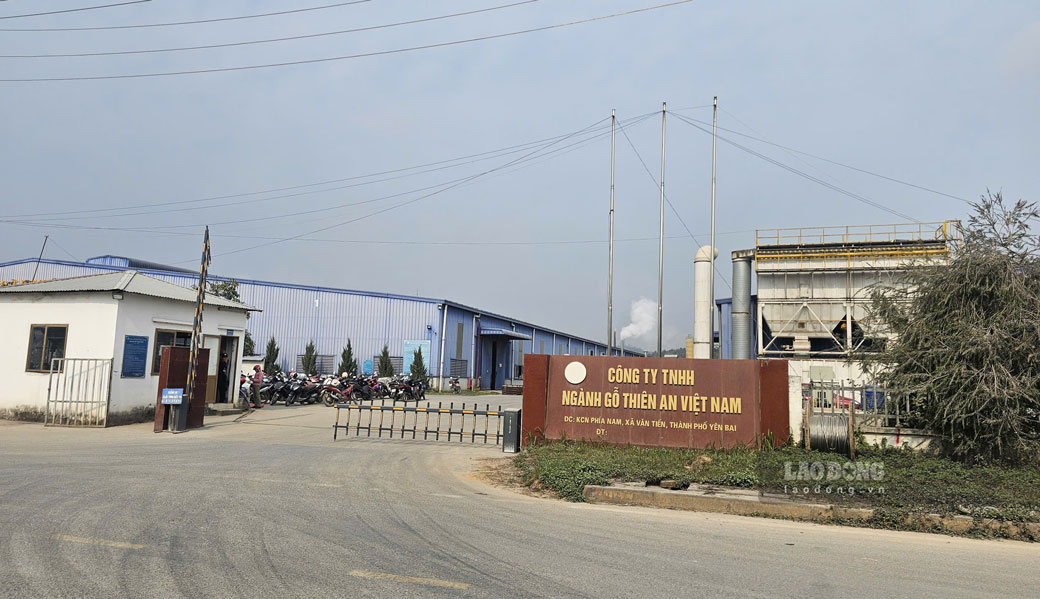 Công ty TNHH ngành gỗ Thiên An Việt Nam thưởng Tết Dương lịch cao nhất 8 triệu đồng