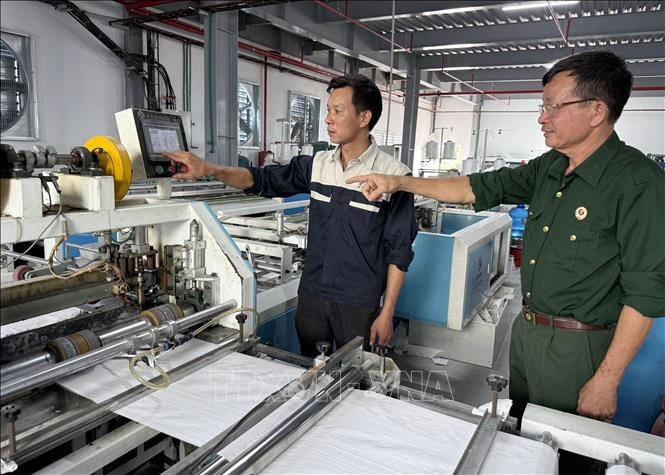 Sản xuất bao bì tại Công ty Cổ phần Trịnh Nghiên (xã Quỹ Nhất, tỉnh Ninh Bình). Ảnh minh họa: TTXVN