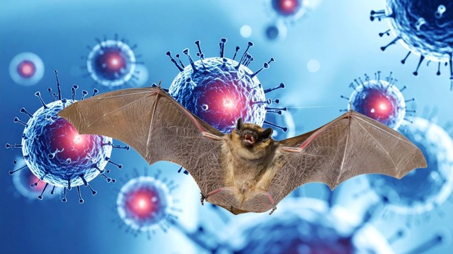 Chỉ đạo mới của Hà Nội liên quan loại virus có tỉ lệ tử vong cao