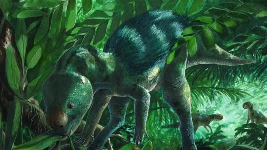 Phục dựng nghệ thuật cổ sinh của Foskeia pelendonum.