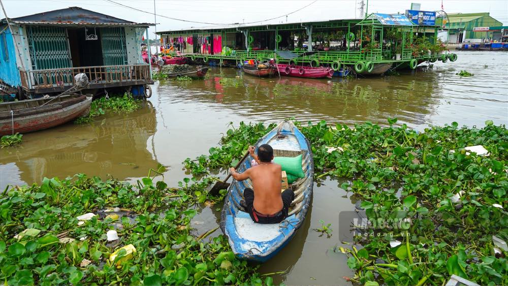 Ô nhiễm rác thải là bài toán