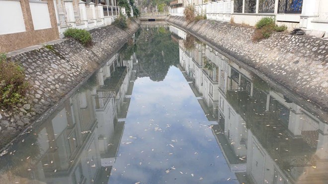 Cá chết kín mặt kênh trong khu đô thị hạng sang ven vịnh Hạ Long