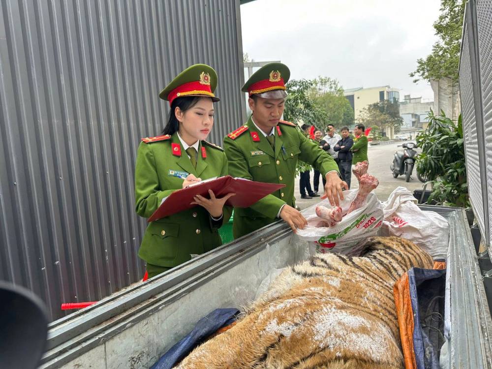 Triệt phá đường dây mua bán, nấu cao hổ. Ảnh: Công an Thanh Hóa