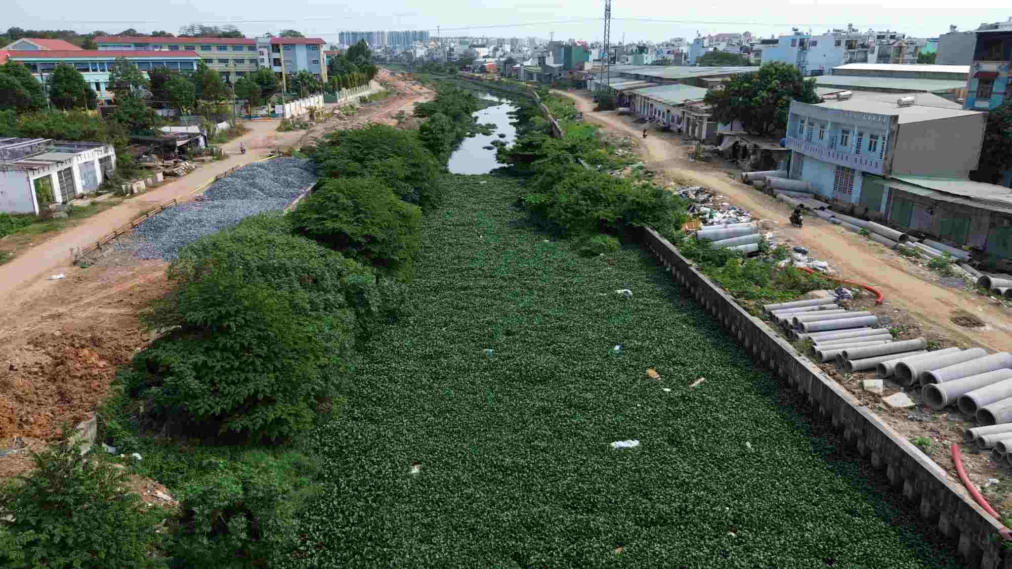 Kênh Tham Lương - Bến Cát mọc đầy lục bình, cây dại.  Ảnh: Anh Tú