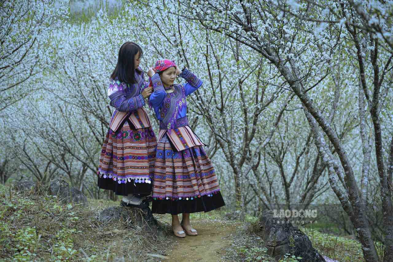 Những cô gái Mông trong trang phục truyền thống rực rỡ nổi bật như những đóa hoa xuân. Ảnh: Dương Toản