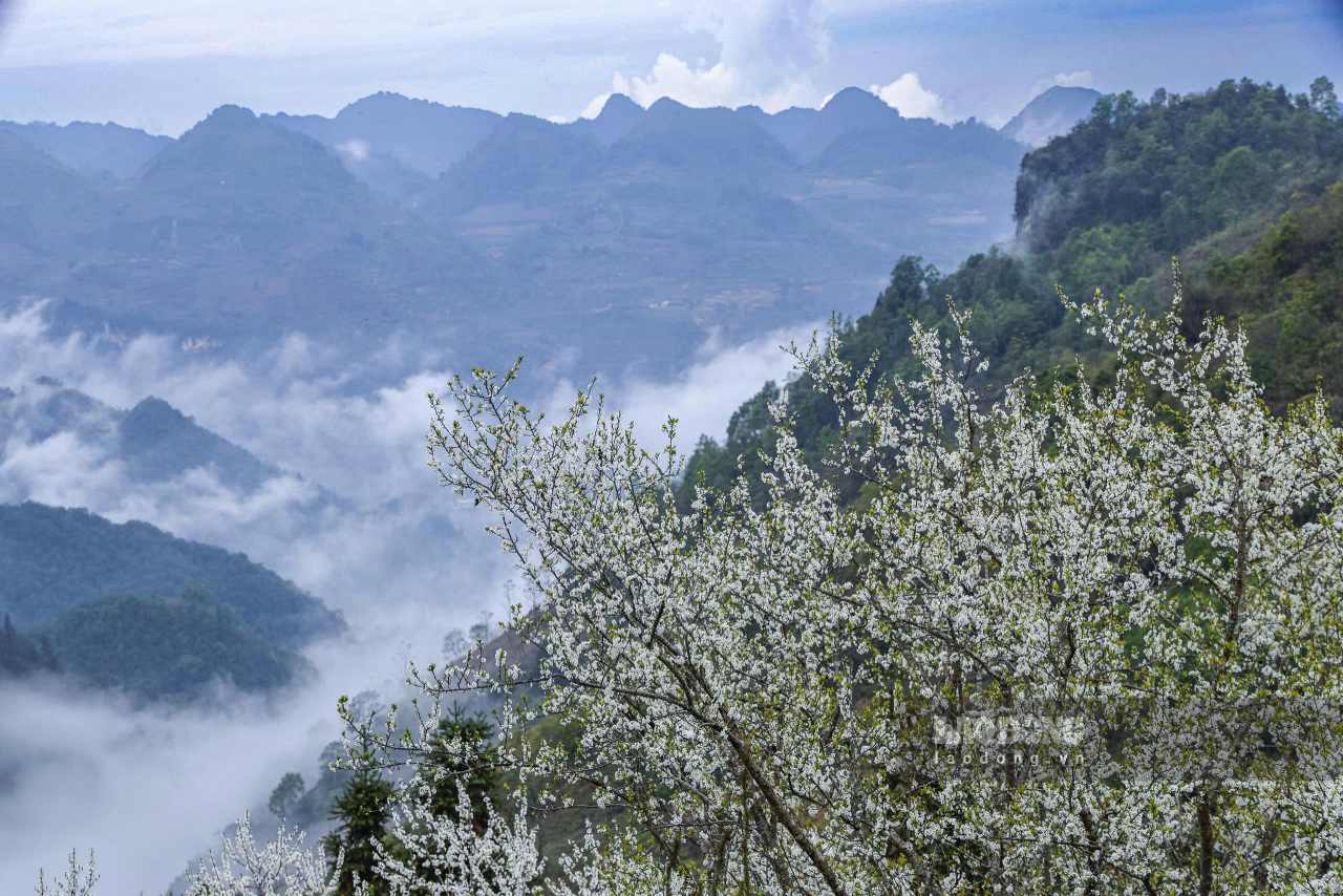 Những sắc màu văn hóa tạo lên bức tranh sống động của vùng cao nguyên trắng Bắc Hà. Ảnh: Dương Toản