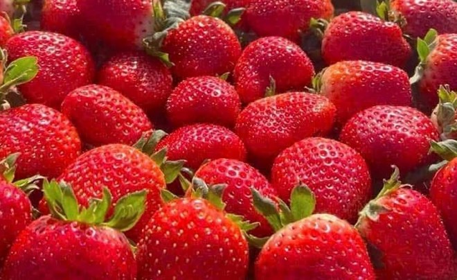 Bổ sung collagen: Nên chọn loại trái cây nào?