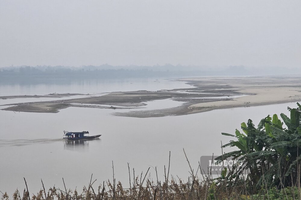 Cồn cát khổng lồ giữa dòng sông Hồng cạn. Ảnh: Tô Công