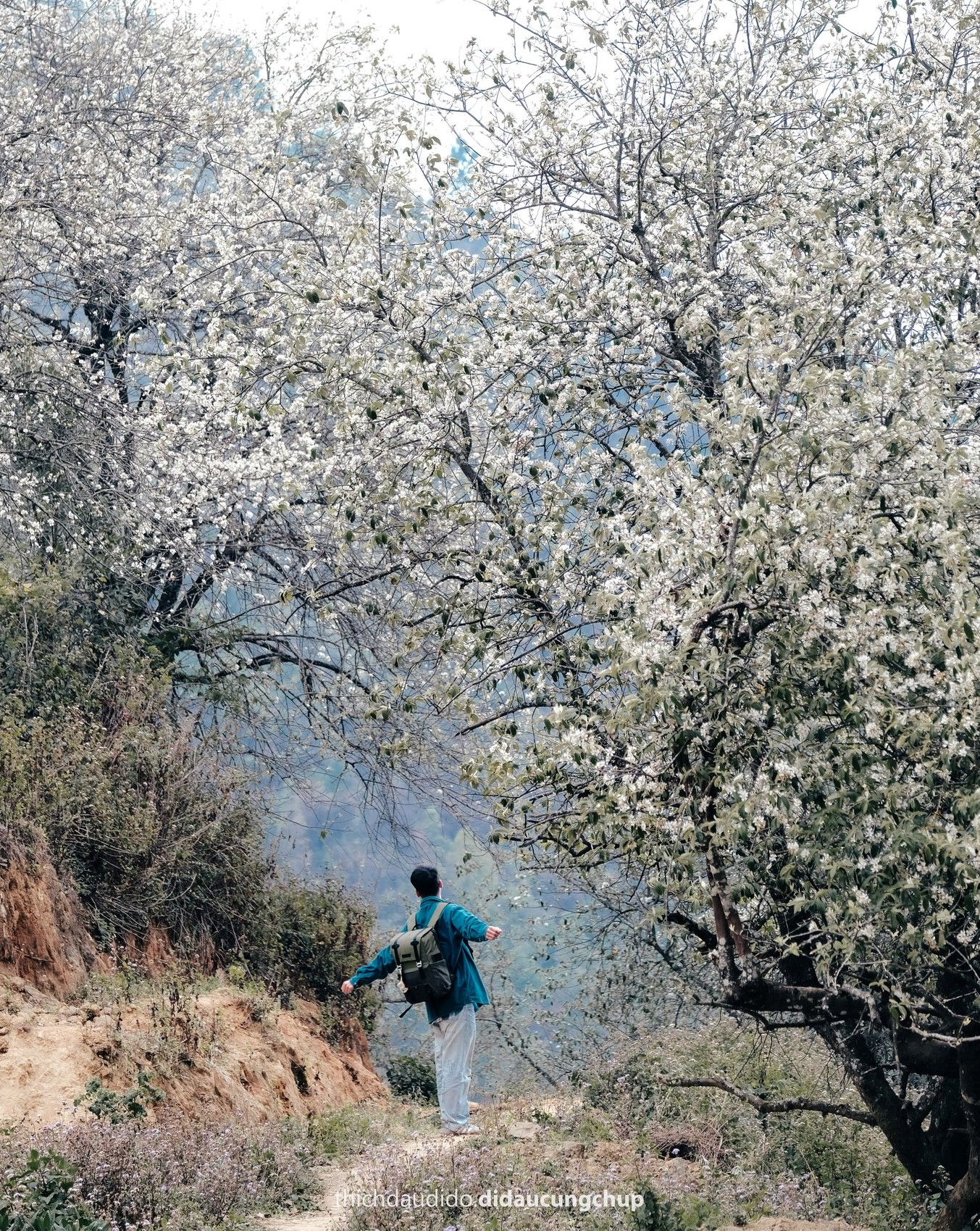 “Để có thể tiện quan sát và ghi lại những hình ảnh đẹp đời sống dân tộc ở đây, tôi đi bộ quanh bản và vì Nậm Nghẹp cũng không quá rộng với ít hộ dân sinh sống. Cả hoa sơn tra và hoa ban đang nở rộ, dự báo hoa sẽ nở đẹp trong khoảng một tuần nữa“, Việt Anh chia sẻ.
