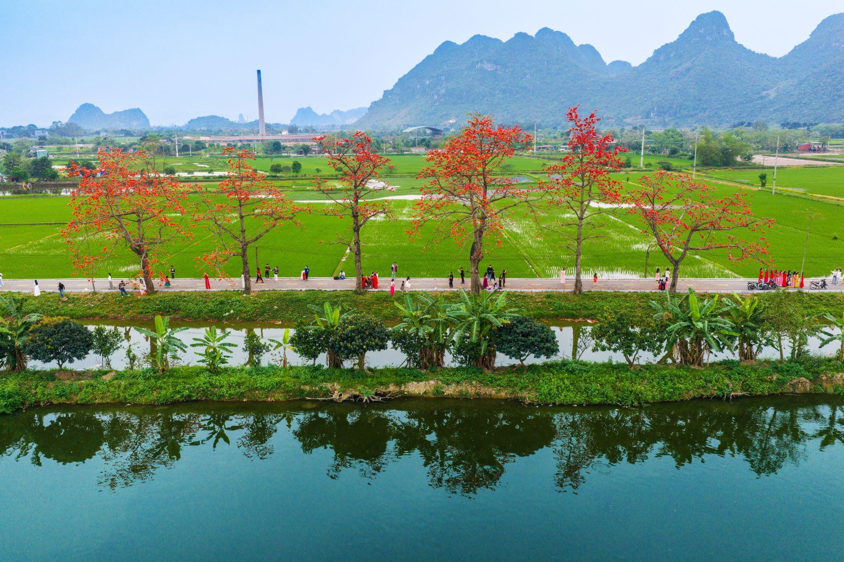 Thôn hiện có hàng cây gạo với 20 gốc cổ thụ đang nở rộ, hai bên con đường là hệ thống ruộng lúa và kênh thủy lợi.