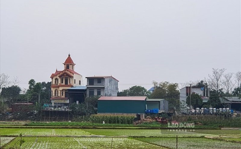 Người dân cần thực hiện đúng thủ tục khi chuyển mục đích sử dụng đất nông nghiệp sang đất ở theo quy định.