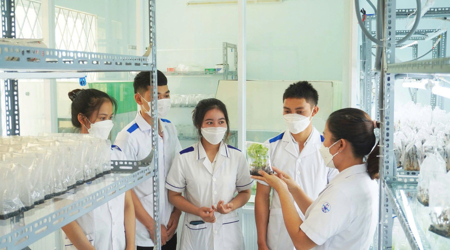 Sinh viên Trường Cao đẳng Kon Tum thực hành nuôi cấy mô. dua-nha-may-vao-giang-duong-1.jpg