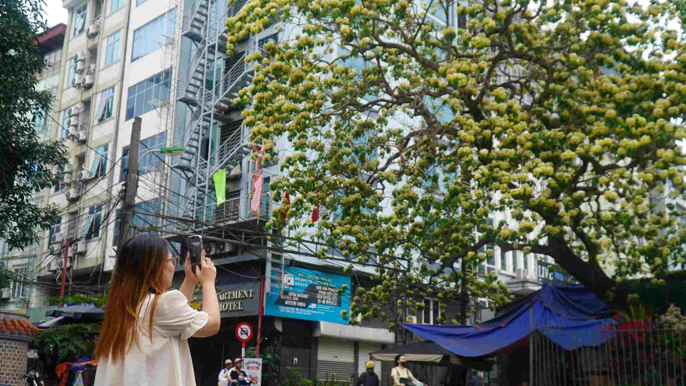 Nhiều bạn trẻ tìm đến cây hoa bún để lưu giữ kỷ niệm mùa hoa.