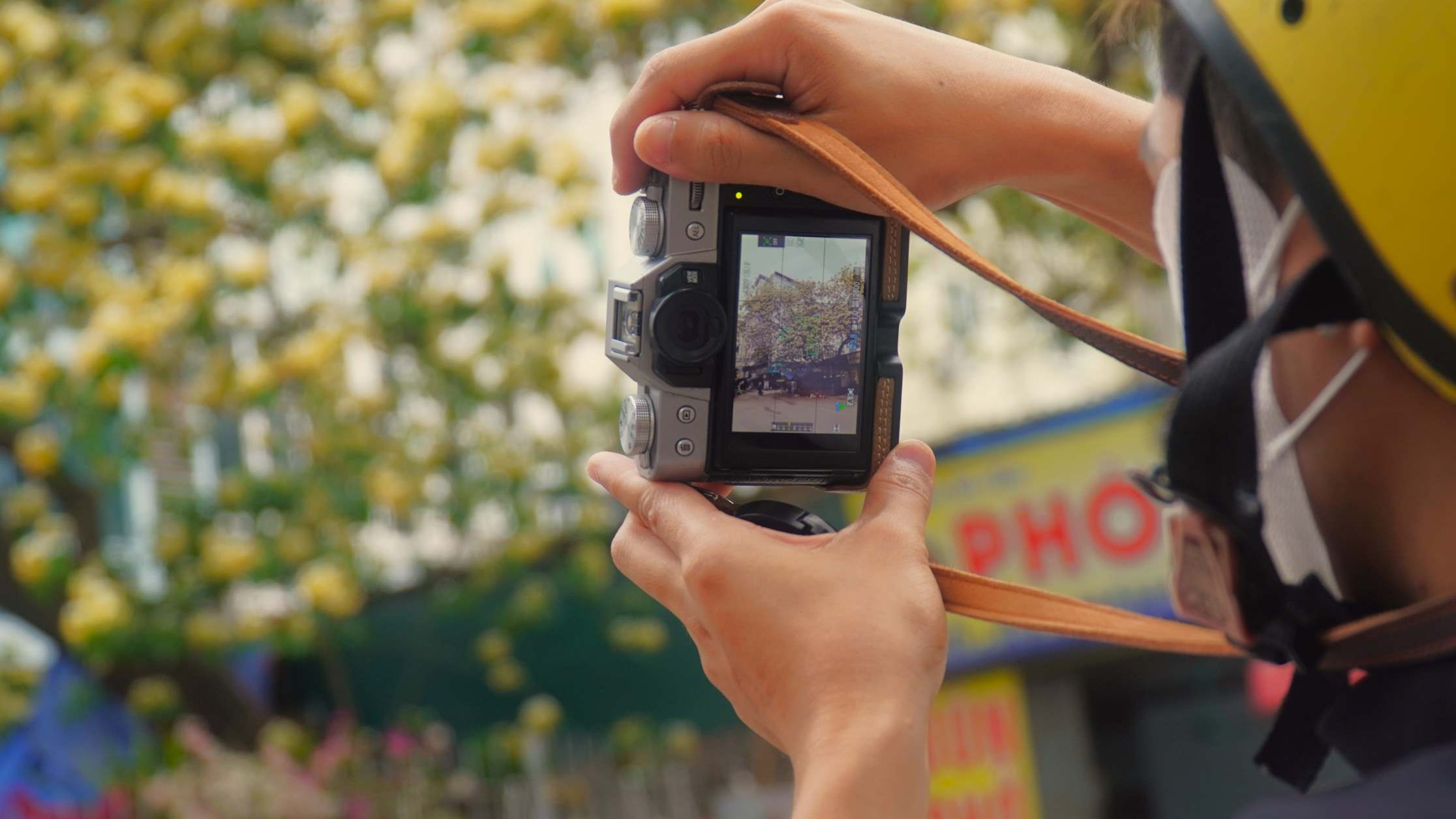 Bạn Quang Anh chia sẻ, trong lúc chạy ngang qua khu vực này, thấy hoa nở rực rỡ và rất đẹp nên đã dừng lại chụp vài bức ảnh để lưu giữ khoảnh khắc.