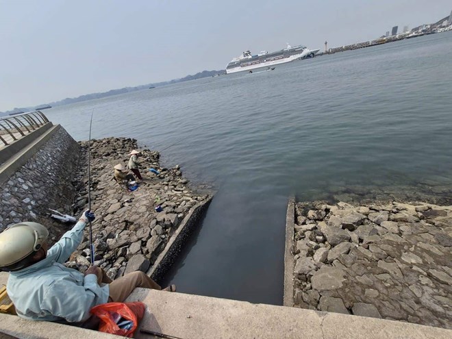 Nước thải gây ô nhiễm vịnh Hạ Long từ ven bờ