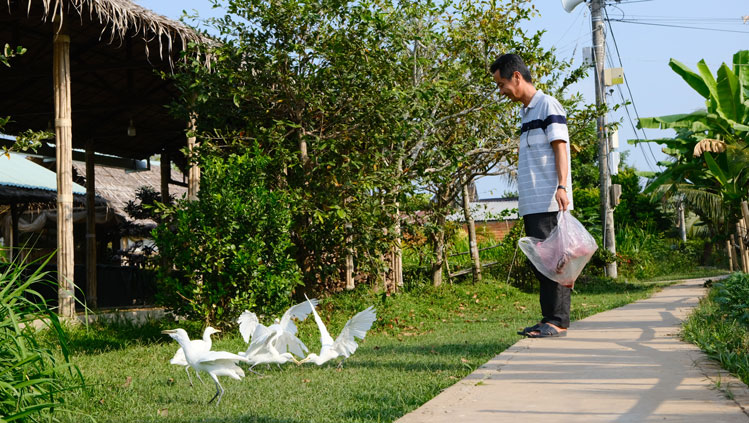 Vẻ đẹp nhẹ nhàng, bình dị của Cồn Sơn. Ảnh: Hân Nghiên