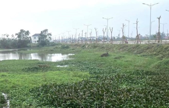 Chủ đầu tư giải thích nguyên nhân dự án 191 tỉ đồng ở Nghệ An chậm tiến độ