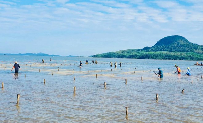 Hàng loạt vi phạm nuôi trồng thủy sản trái phép bị xử lý ở Quảng Ninh