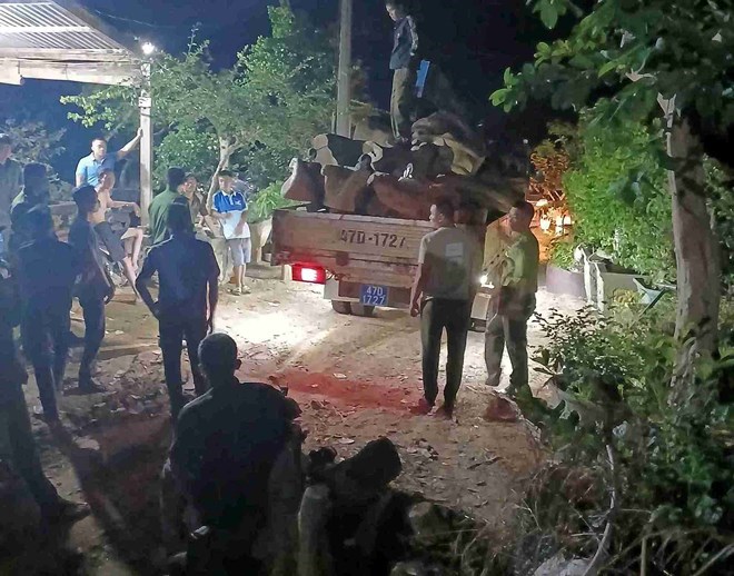 Xử lý gần 190 vụ xâm hại rừng trong cao điểm mùa khô ở Đắk Lắk