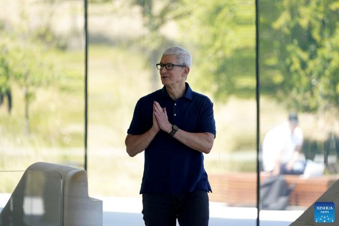 Tim Cook sẽ từ chức CEO Apple