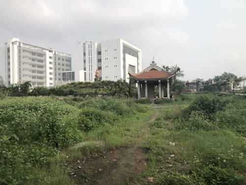 Cỏ mọc một số hạng mục công trình đang xuống cấp. Ảnh: Minh Hạnh