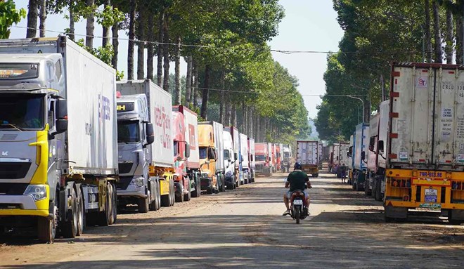 Xe container chở sầu riêng vẫn xếp hàng dài trong khu dân cư ở Đồng Nai