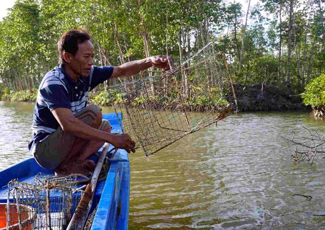 Nắng nóng kéo dài khiến tôm cua Cà Mau thiệt hại diện rộng