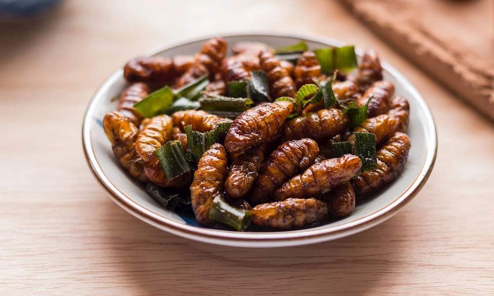 Món hon mhai của Thái Lan được TasteAtlas đánh giá là món ăn tệ nhất Đông Nam Á. Ảnh: TasteAtlas