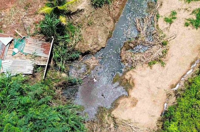 Chỉ đạo xử lý điểm tập kết heo gây ô nhiễm sau phản ánh của Báo Lao Động