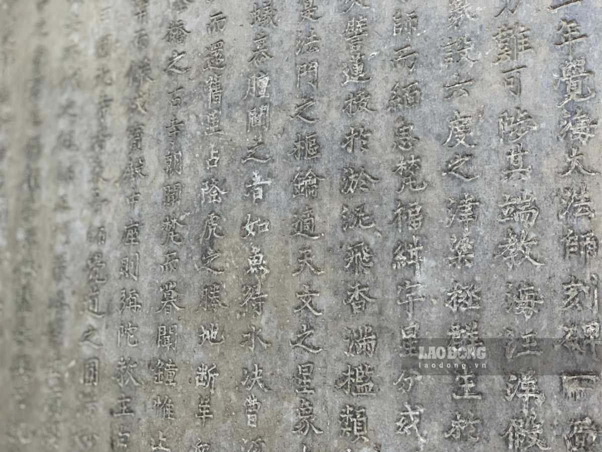 Cận cảnh bảo