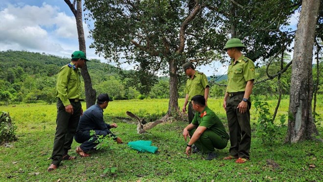 Đánh thức tiềm năng du lịch xanh Kon Ka Kinh