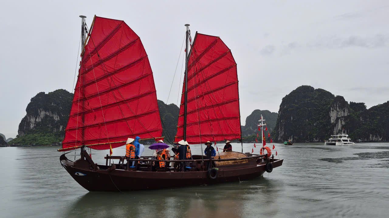 Đây không chỉ là sự ra đời của một sản phẩm du lịch mới, mà còn là sự trở lại của những cánh buồm nâu gắn liền với ký ức một thời về sinh kế và đời sống của ngư dân Quảng Ninh. Ảnh: Nguyễn Hùng