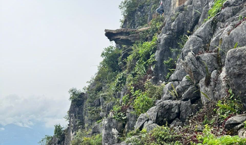 Tạm dừng đón khách tại